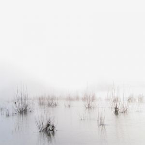 Frédérique Bretin : eaux troubles Frédérique Bretin : eaux troubles